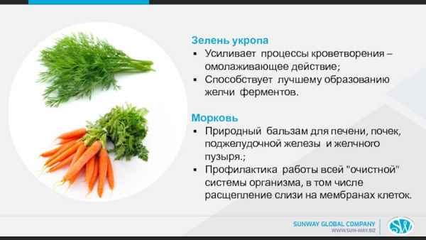 Чем полезны семена укропа для поджелудочной железы?