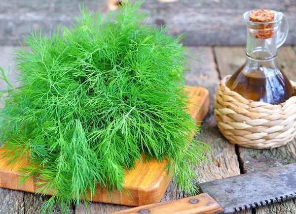 Приготовление и применение масла из укропа