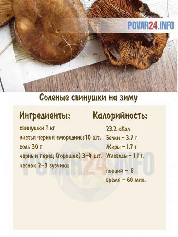 Приготовление свинушек, рецепты, пошаговая инструкция