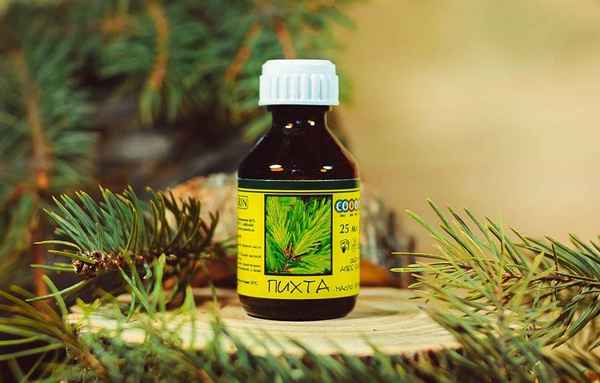Эфирное масло ели: чем оно полезно и где применяется