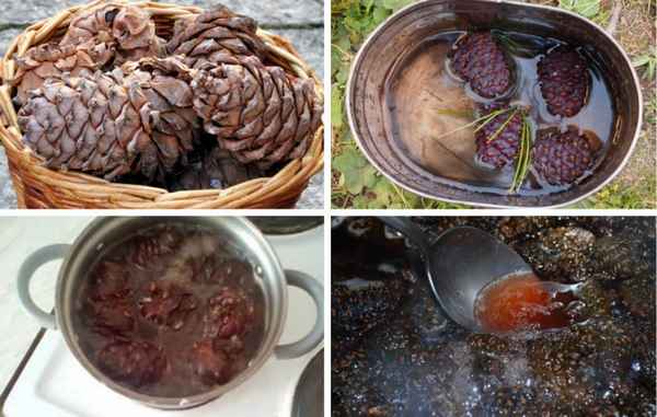 Как избавиться от смолы на кедровых шишках