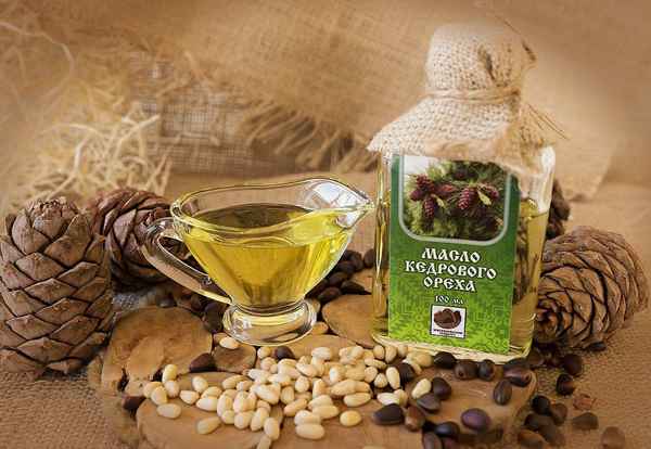 Применение и свойства масла кедрового ореха