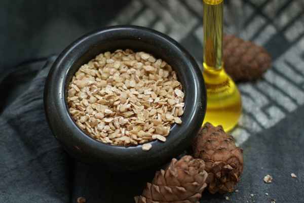 Полезные свойства и применение кедрового жмыха