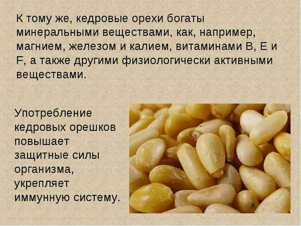 Польза и вред кедровых орехов для организма