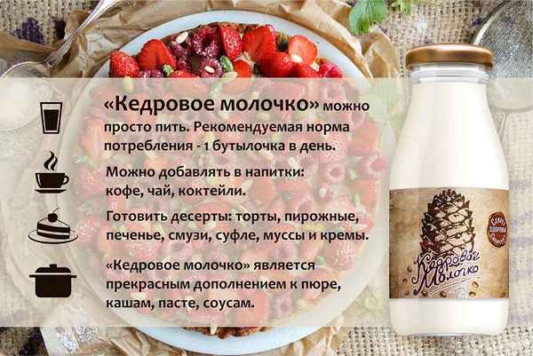 Польза и вред кедрового молока
