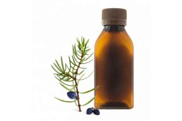 Применение можжевельника для волос