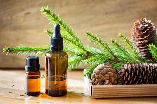 Польза эфирного масла пихты для волос