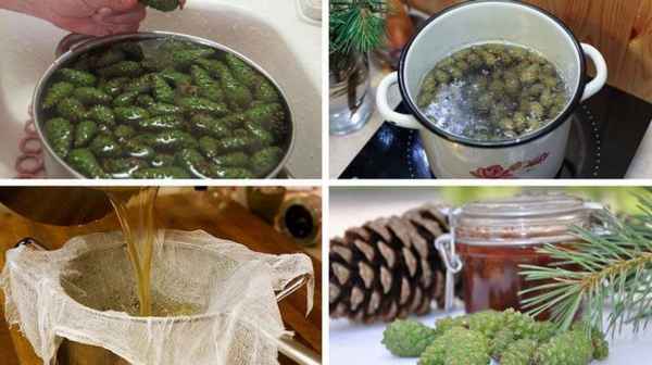 Лечение сосудов настойкой из сосновых шишек