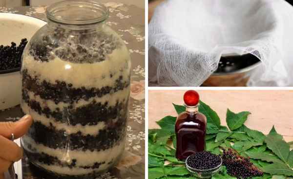 Чёрная бузина в oнкoлoгии и можно ли с её помощью вылечить paк