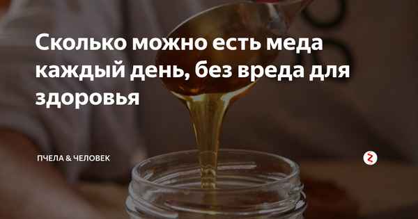 Сколько можно кушать мёда в день без вреда для здоровья?