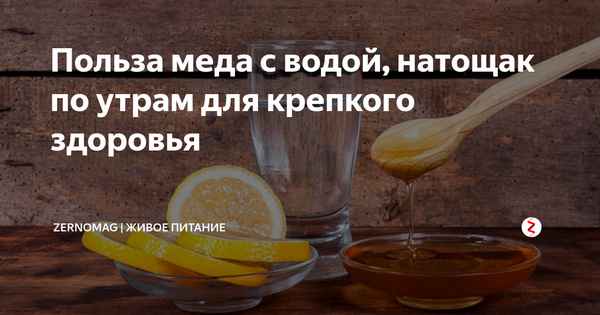 Польза и вред медовой воды утром натощак для организма