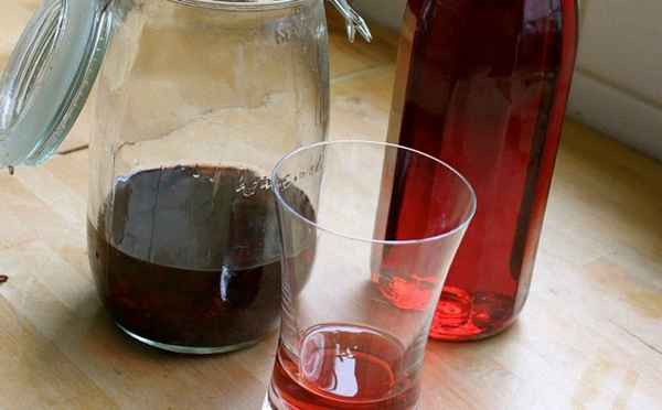 Как приготовить самогон и настойки на калине?