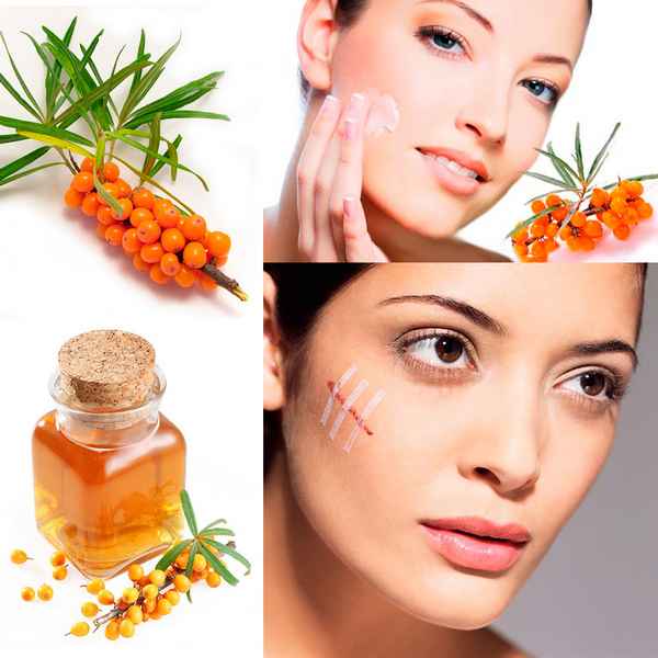 Свойства облепихового масла для кожи лица