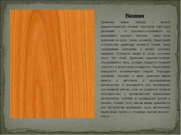 Особенности применения древесины вишни