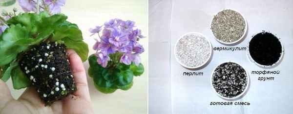Как приготовить своими руками грунт для фиалок и каким должен быть состав