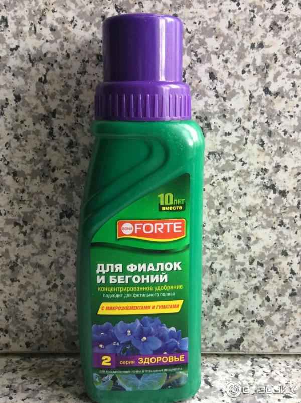 Как выбрать лучшие удобрения для фиалок