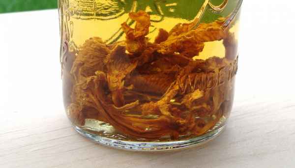 Лечение болезней при помощи настойки из лисичек