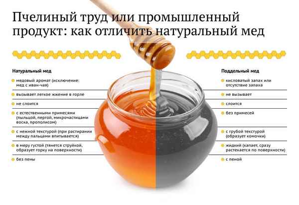 Натуральный или нет? Как отличить поддельный мёд простым способом дома
