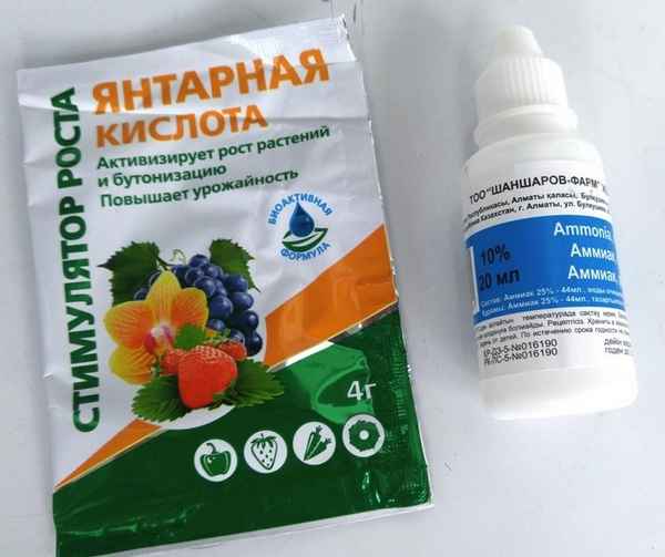 Секреты использования янтарной кислоты для подкормки растений