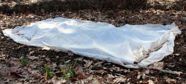 Чем укрыть посаженный лук на зиму и когда это делать