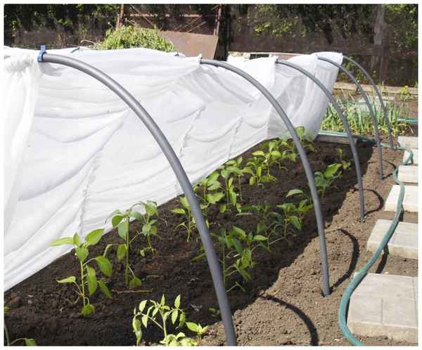 Какой укрывной материал лучше всего для теплиц и парников?