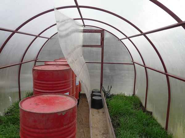 Как выбрать лучший поликарбонат для теплицы