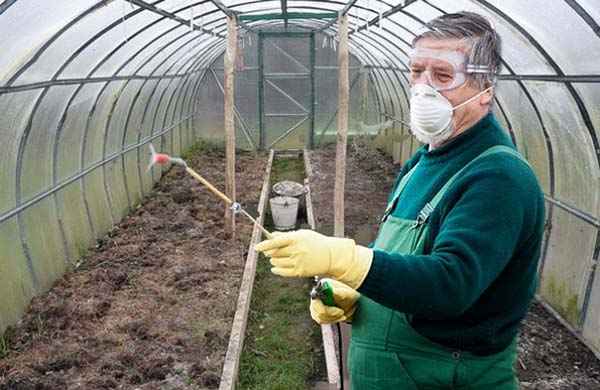 Обработка теплицы из поликарбоната от болезней и вредителей весной