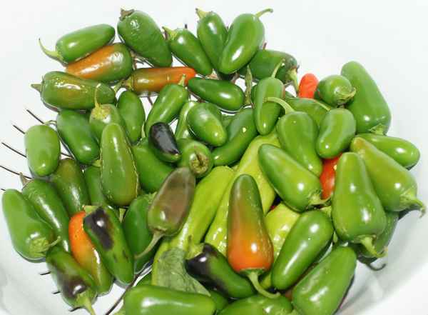 Перец Халапеньо: фото и описание - польза и вред