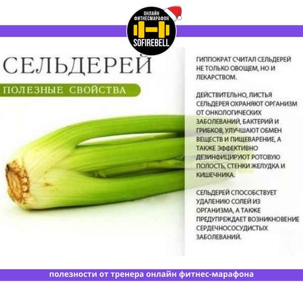 Особенности употрeбления сельдерея для мужчин