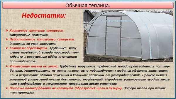 Преимущества и недостатки зимней посадки в теплице