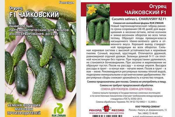 Сорт огурцов Чайковский: описание, хаpaктеристика, выращивание и уход