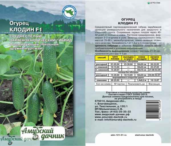 Сорт огурцов Клодин: описание, хаpaктеристика, выращивание и уход