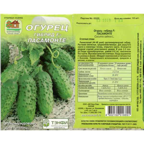 Сорт огурцов Пасамонте: описание, хаpaктеристика, выращивание и уход
