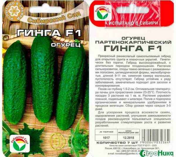 Сорт огурцов Гинга F1: описание, хаpaктеристика, выращивание и уход