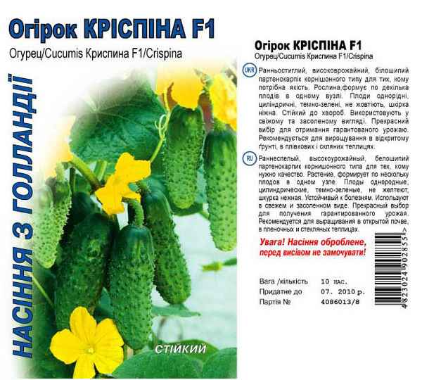 Особенности посадки и ухода за огурцами сорта Криспина