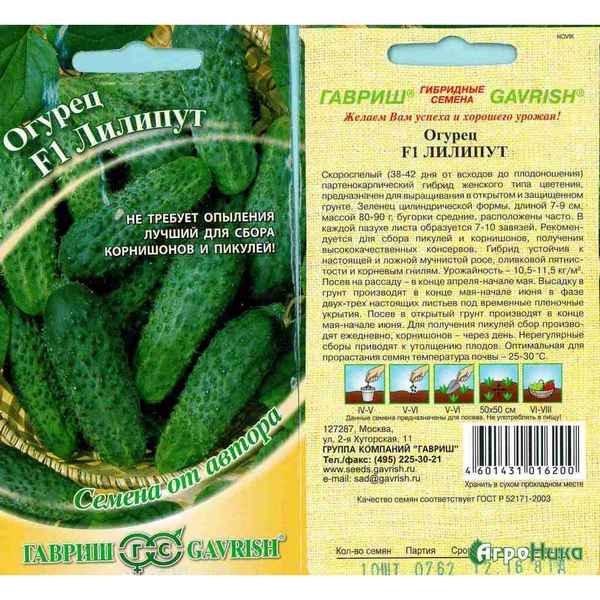 Сорт огурцов Лилипут: описание, хаpaктеристика, выращивание и уход