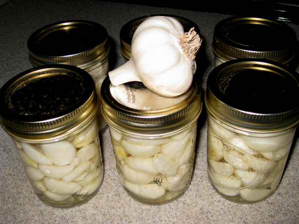 Как хранить чеснок зимой в домашних условиях