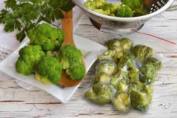 Как правильно заморозить брокколи на зиму в домашних условиях?