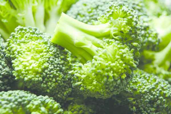 Капуста брокколи: основные правила сбора урожая и хранения