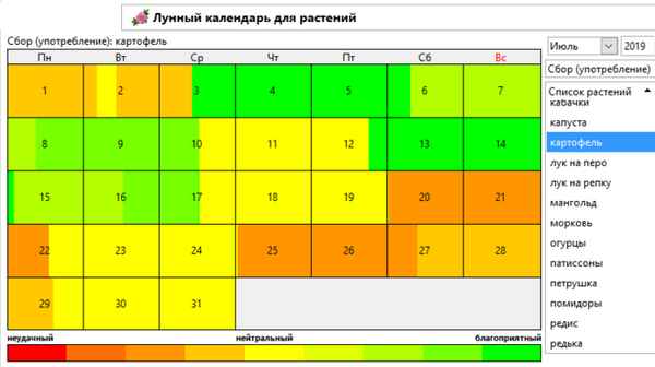 Когда лучше всего убирать картофель по лунному календарю
