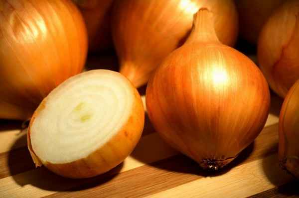 Лук сорта Золотистый Cемко: описание и особенности выращивания