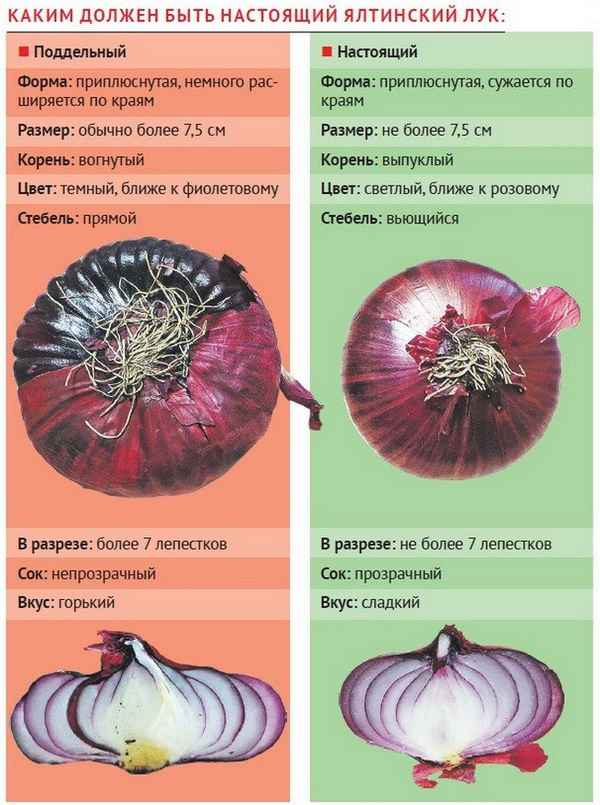 Как отличить от подделки настоящий Ялтинский красный лук