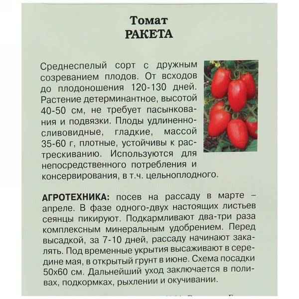 Помидоры  «Paкета»: хаpaктеристика, особенности выращивания