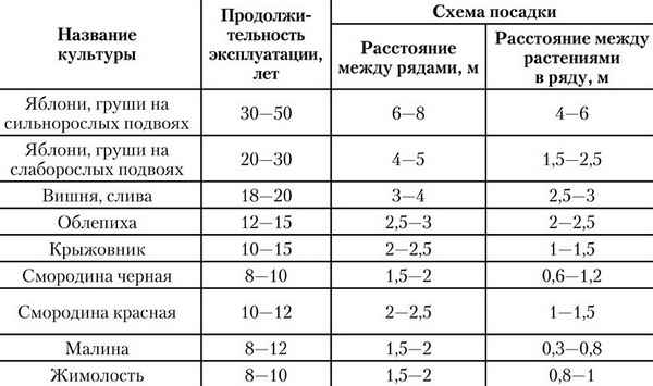 Особенности продолжительности жизни вишни