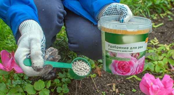 Подпитка для корней! Внесите в феврале под все цветы