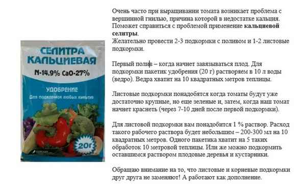 Кальциевая селитра от фитофторы на помидорах: приготовление раствора, особенности обработки