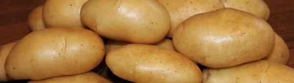 Картофель Императрица: хаpaктеристика и особенности выращивания сорта