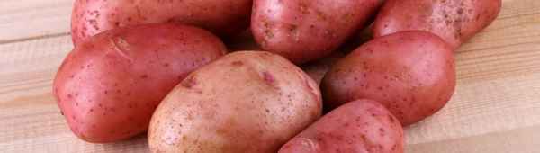 Сорт картофеля Крымская роза: ботаническое описание, агротехника выращивания и уход