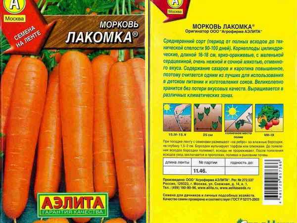 Описание семян лучших сортов моркови