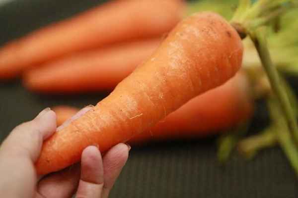 Почему морковь бледная и не сладкая: как этого избежать